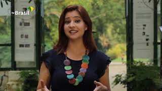 Miniatura do vídeo