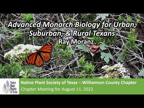 Aug 2022: Advanced Monarch Biology and Conservation for Urban, Suburban & Rural Texans w/ Ray Moranz