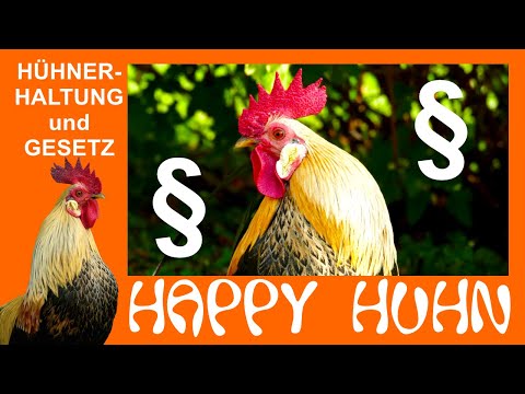 , title : 'E113 Gesetzliches zur Hühnerhaltung, bei HAPPY HUHN - Nachbarn, Meldepflicht, Impfpflicht, Hühner'