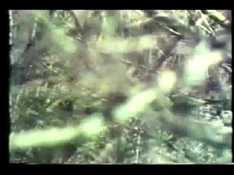 05.Images And Memories Of Winter by Jim Bones and Bill Porterfield