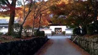 preview picture of video 'Kōshō-ji Temple (興聖寺) Along the Ujigawa River in Uji City, Kyoto.'
