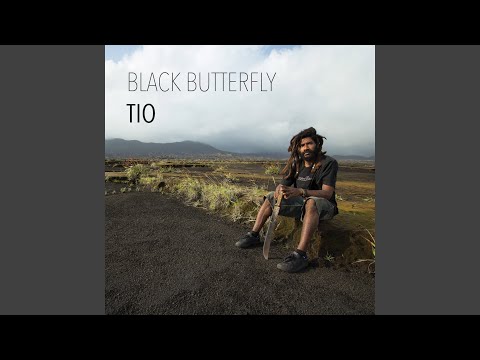 Black Butterfly