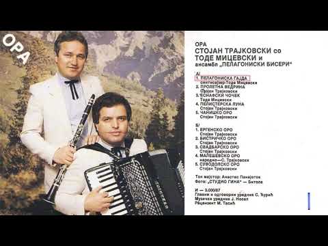 Stojan Trajkovski - Pelagoniska gajda - (Audio 1987)