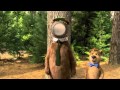 Yogi Bear