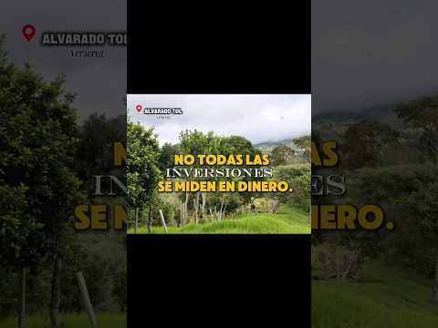 Alvarado Tolima