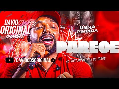 CÊ PARECE O AMOR DA MINHA VIDA DE LONGE COPO DE COCA TBM PARECE CAFÉ - UNHA PINTADA