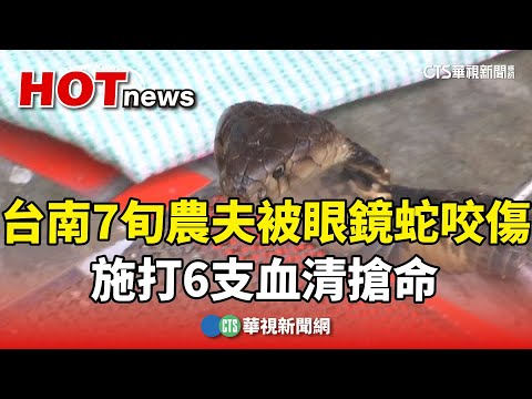 台南7旬農夫被眼鏡蛇咬傷　施打6支血清搶命