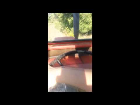 IH 824 cultivating (inside cab view)