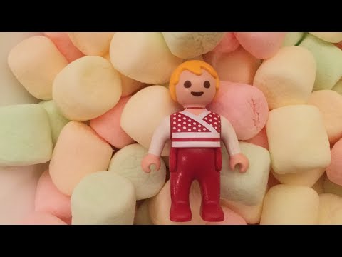 😴Playmobil Robinson family heather’s dream ep74