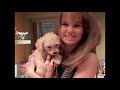 SUITE LIFE ON DECK S Debby Ryan Meet Her Puppy From Booboo Stewart
