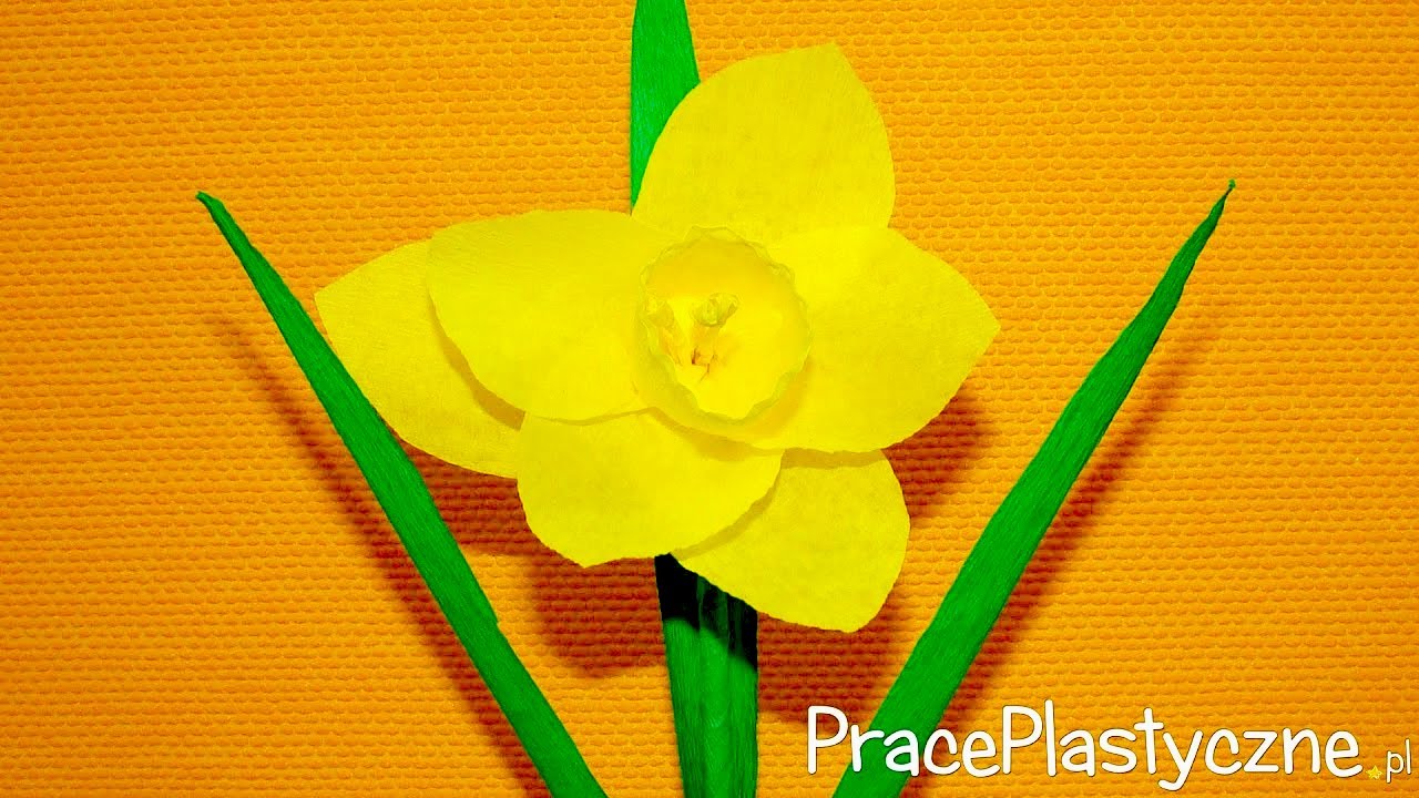 Jak zrobić żonkila z bibuły?