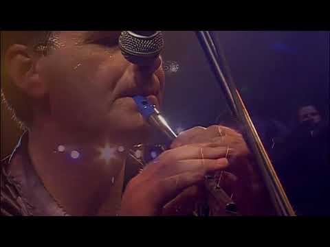 Furry Village (Galway, 1998) - Uilleann Pipe. TV IRELAND