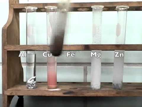 Reactivity of Metals Lab video