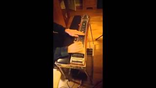Panties in Your Purse (Drive-By Truckers Pedal Steel solo)