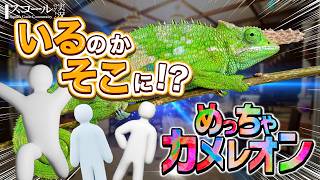 【めっちゃカメレオン】#1　俺のそばに近寄るなァァァ！世はまさに新感覚かくれんぼ時代【参加型】