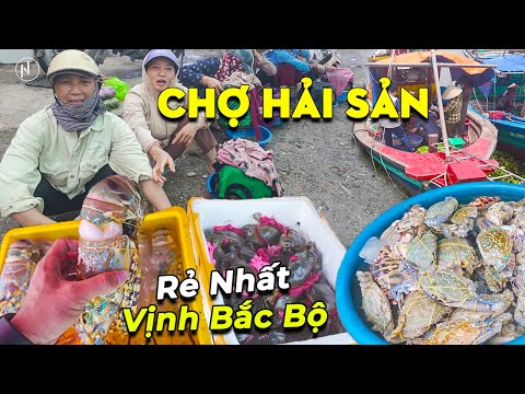 Lạc vào Chợ Hải Sản Ven Biển, CẢNG CÁ TÂN SƠN - Diêm Điền Thái Bình, Giá Rẻ Bất Ngờ !