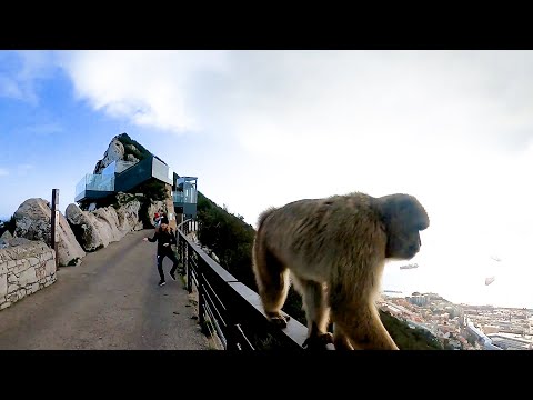 ¿NOS VAMOS A ITALIA? | En camino a la Cu4renten4  (miniserie) 2/5