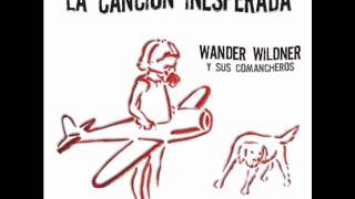 Wander Wildner - Um bom motivo.