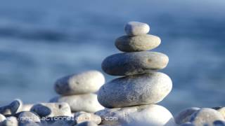 8 HOUR Zen Sleep: Meditation Music for Zen Moments & Relaxation During Sleep