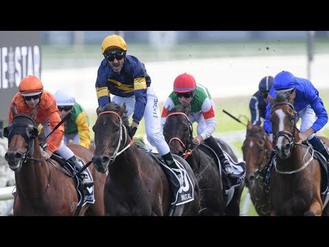2019 ATC The Doncaster Mile