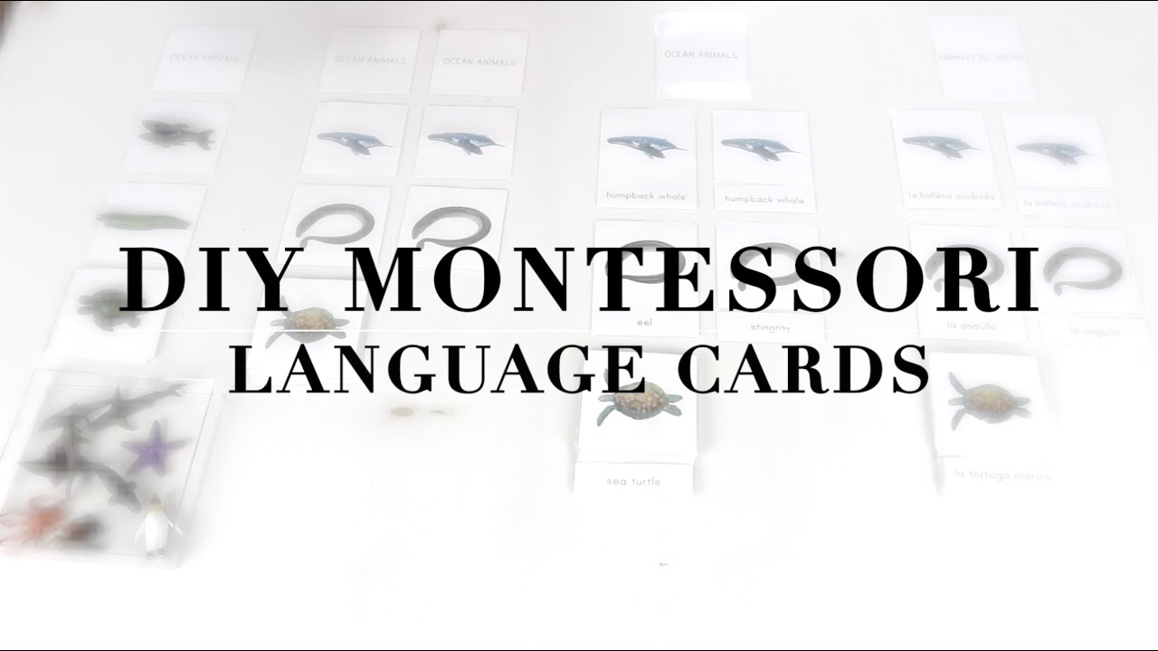 DIY: Montessori Language Cards