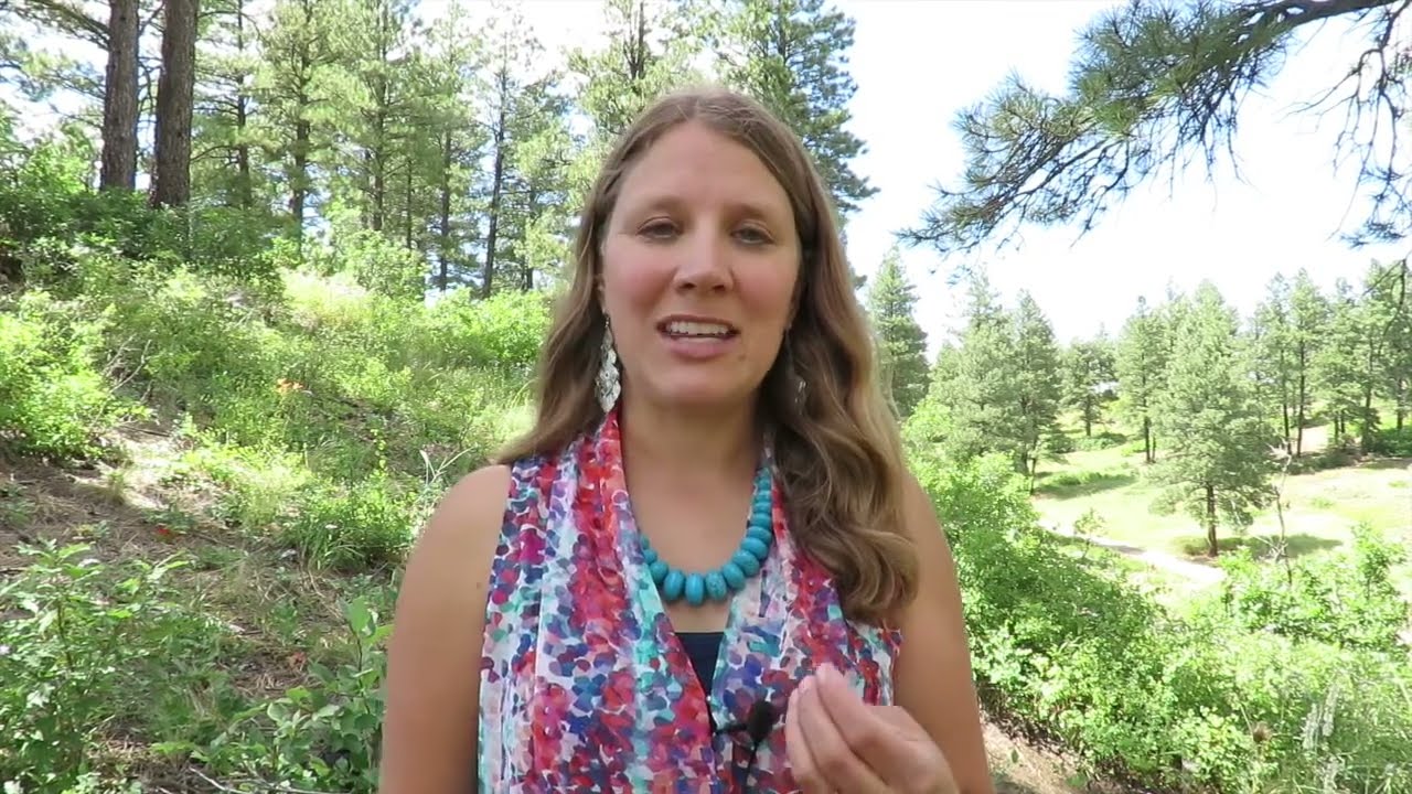 Key Questions for Finding Your Archetypes