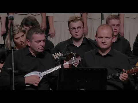 Tihomir Ranogajec: PANONSKA RAPSODIJA