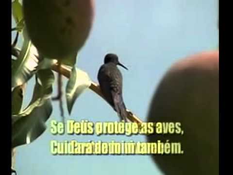 Cuidará de Mim Também