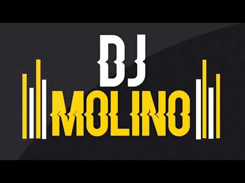 Hardwell vs. Garmiani feat. Jake Reese & Lil Jon - Mad World vs. Bomb A Drop (Dj Molino Mashup)