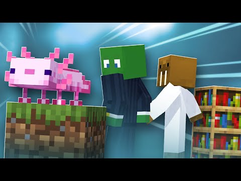 Books are brilliant... but I like THIS - Minecraft Challenge