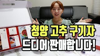 청양구기자 판매시작합니다!