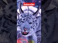 This Is Tiger Or What Comment Fast Tiger Attack Tiger Attack Attitude Whatsapp Status Shorts