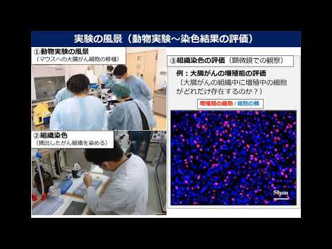 保健福祉学科 県立広島大学　分子病理学研究室　紹介
