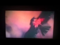 The Secret Of Nimh 3 Part 3