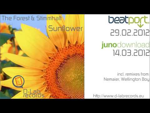 [DLBR-044] The Forest & Stimmhalt - Sunflower (Nemaier remix) [D-Lab Records]