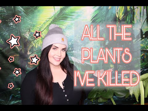 HOW MANY PLANTS HAVE I KILLED? & PLANT CHATTING!