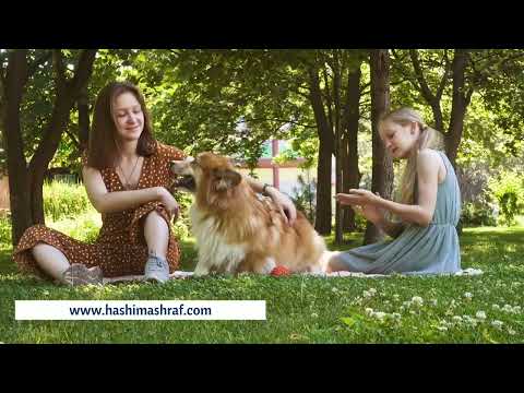 Bridge House at Bright water Condos Port credit Mississauga Ontario