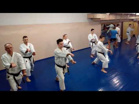 Empi kata training 25 01 2018