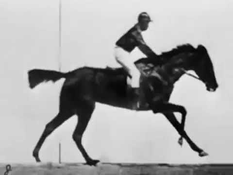 El caballo en movimiento  -  Hablemos de Cine