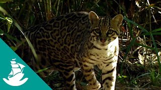 Un paraíso en el infierno - ¡Ahora en alta calidad! (Documental Completo)