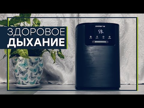 Увлажнитель воздуха Polaris PUH-8060 TFD серебристый - Видео