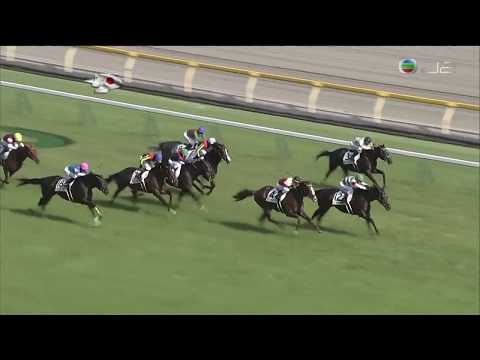 2017 日本打吡大賽 東京優駿 金之霸 Rey de Oro レイデオロ 李慕華