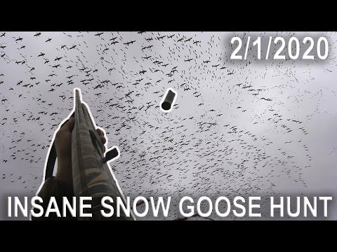 on-the-x-epic-snow-goose-hunting-in-new-jersey-2020-part-2
