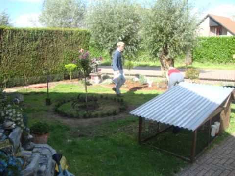 dierenplezier assenede