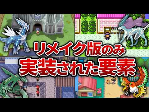 晩秋のコトネアスターの水平線