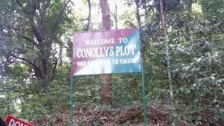 preview picture of video 'Conolly's plot Nilambur'