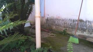 Drone Ascension &amp; Freefall