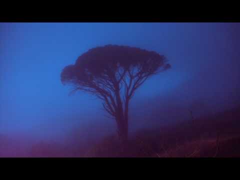 Brimstone - It's unusual