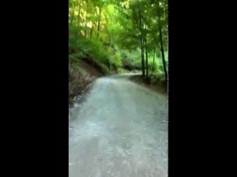 SUNCUIUS- ZECE HOTARE