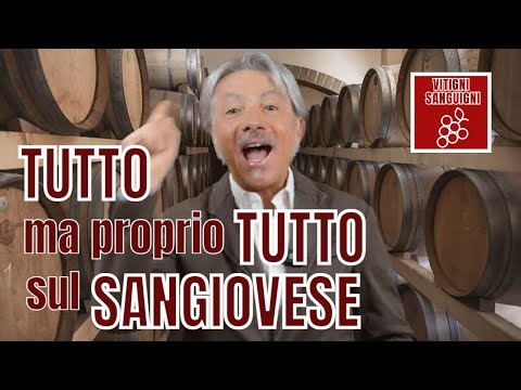 VitigniSanguigni: OGGI VI RACCONTO TUTTO SUL... SANGIOVESE, il Grande!